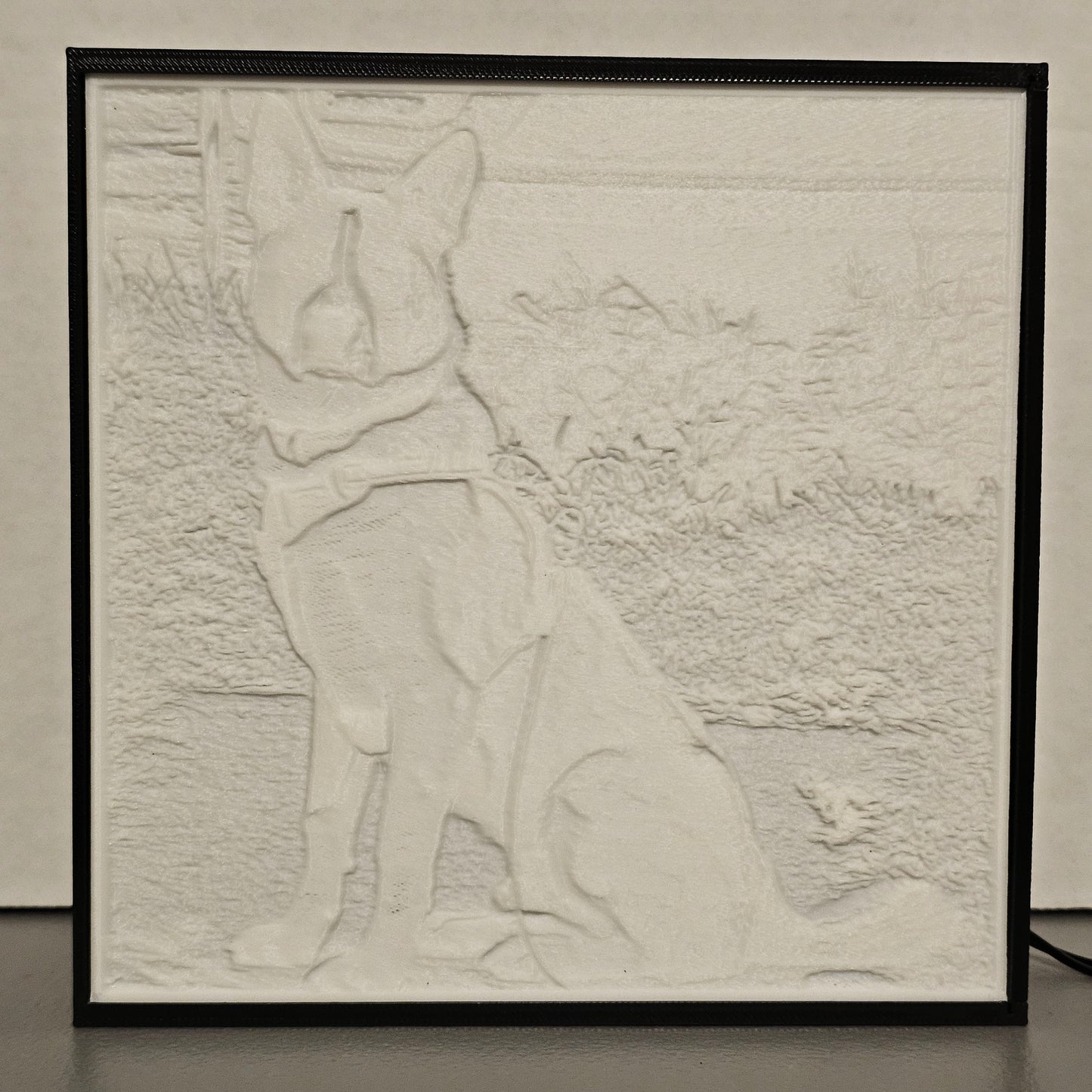 Custom Lithophane Light Box – Turn Your Photo Into 3D Art